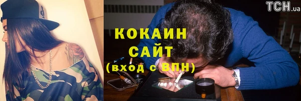 Альфа ПВП Богородицк