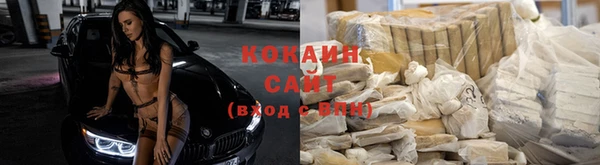Альфа ПВП Богородицк