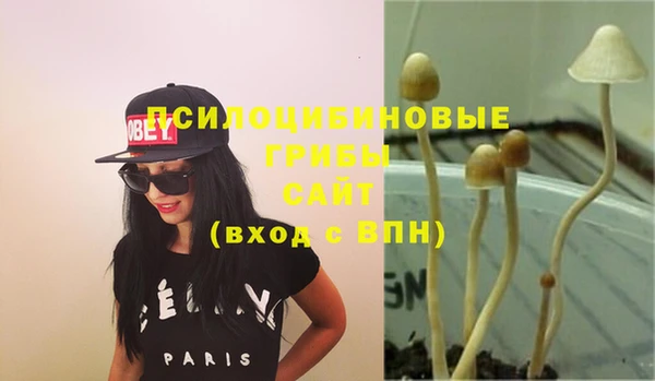 гашиш Сосновый Бор