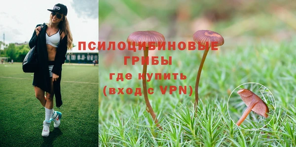 амфетамин Богородск