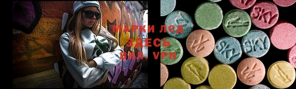 a pvp Богданович