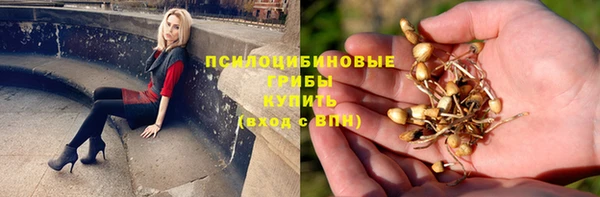 амфетамин Богородск